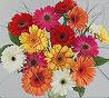 images003